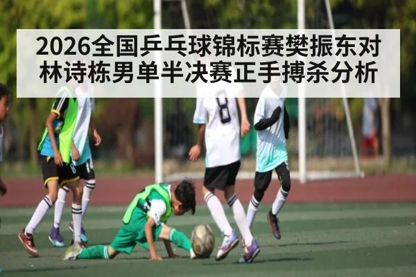 2026全国乒乓球锦标赛樊振东对林诗栋男单半决赛正手搏杀分析
